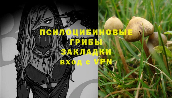 первитин Заводоуковск