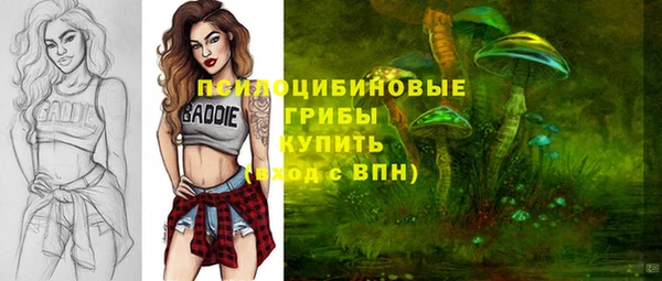 стаф Заволжье