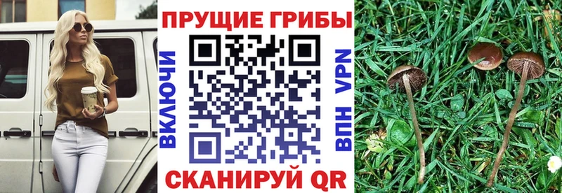 Псилоцибиновые грибы MAGIC MUSHROOMS Арск