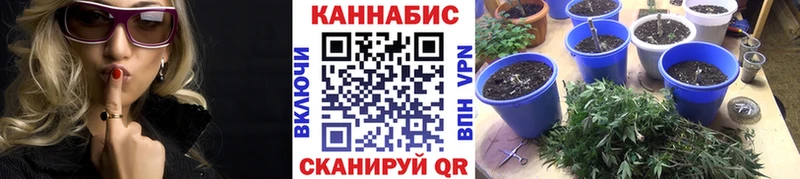 Бошки марихуана THC 21% Арск